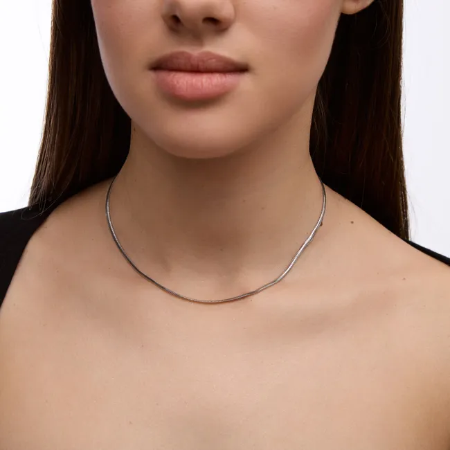 Silver Chain Flat Snake  зображення 2