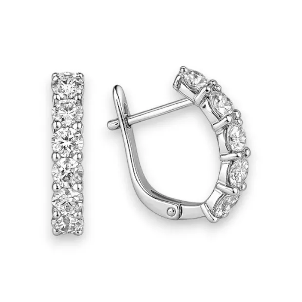 Silver earrings Mystery