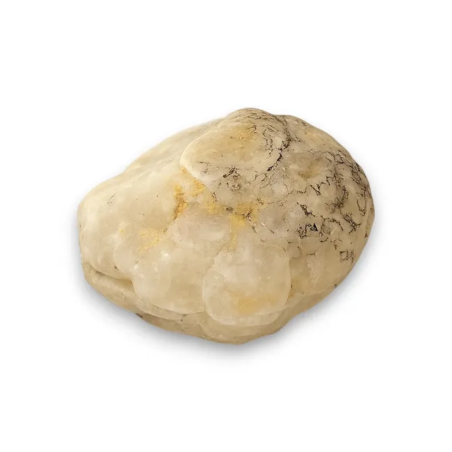 Футляр Мушля