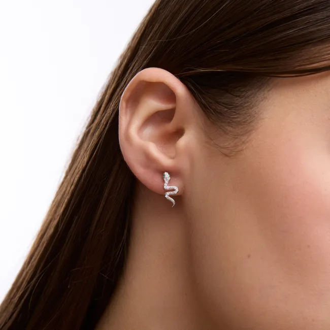 Срібні Сережки Змійки  зображення 4