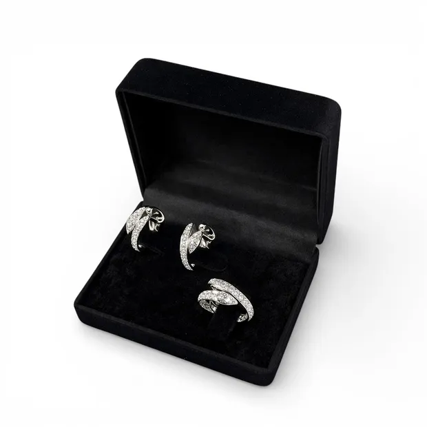 Срібний набір Змія та Футляр під сережки та каблучку