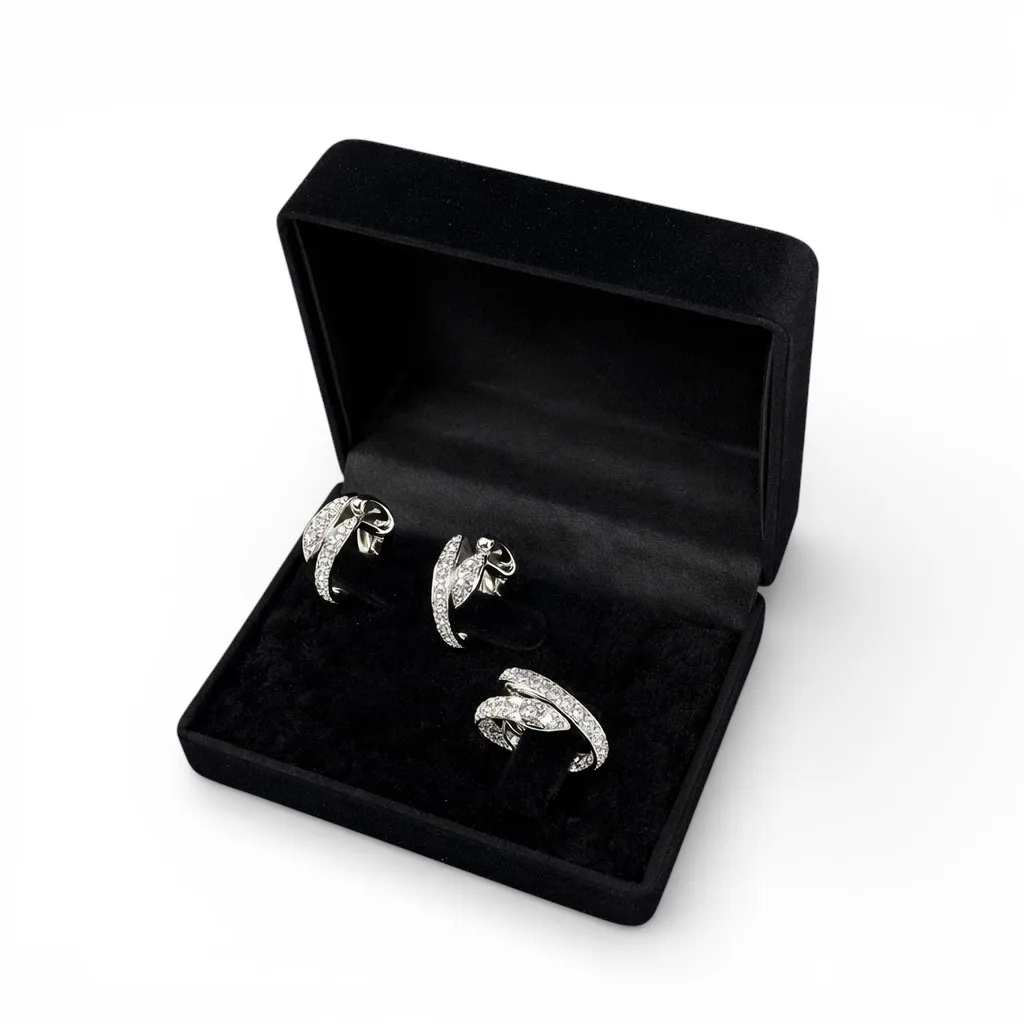 Срібний набір Змія та Футляр під сережки та каблучку